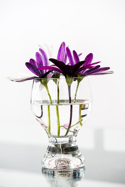 Bouquet of violet flowers - Photo, Image