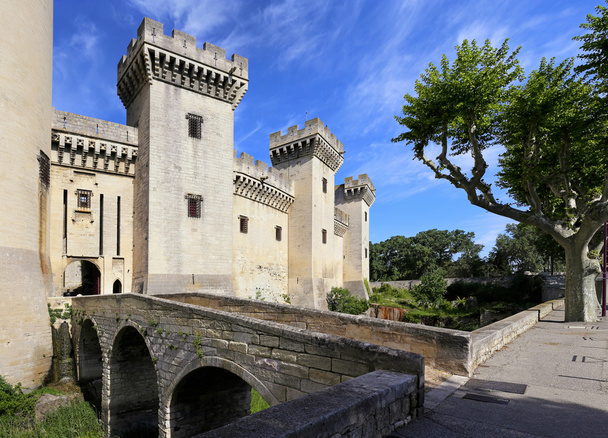 Francja, Prowansja: Zamek Tarascon - Zdjęcie, obraz