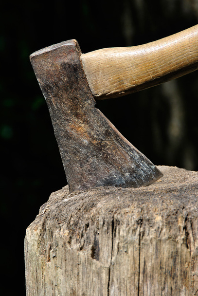 alte Holzfällerbeil steckt in einem Hackblock Nahaufnahme - Foto, Bild