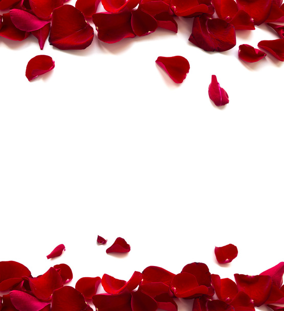 пелюстки троянд кордону
 - Фото, зображення