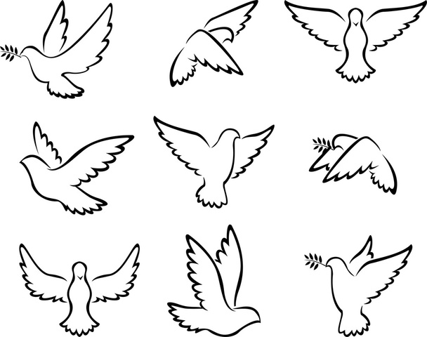 collection of Dove birds logo for peace concept and wedding design - Vector, Image