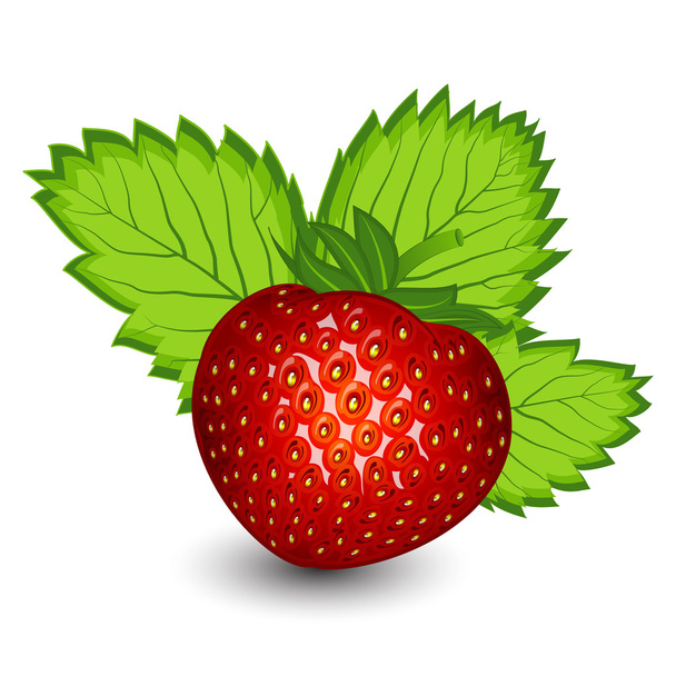 Ripe strawberry with leaves - Vettoriali, immagini