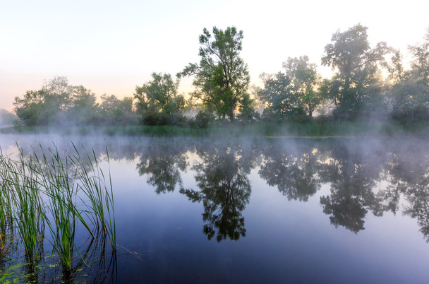 ochtend scène op de rivier - Foto, afbeelding