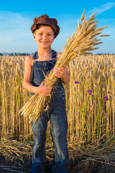 Happy farmers boy with sheaf - Fotoğraf, Görsel