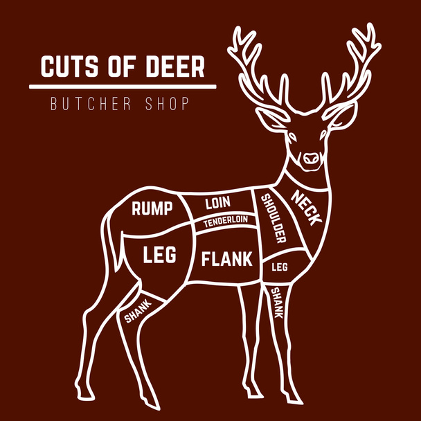 Deer meat cuts in color - Vector, Image