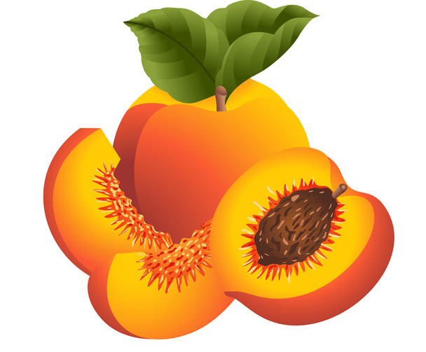 mehukas persikka
 - Vektori, kuva