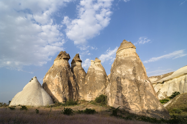 Kaya oluşumu Pasabagi Kapadokya, Türkiye - Fotoğraf, Görsel