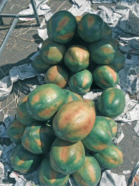 Παπάγια, Carica papaya - Φωτογραφία, εικόνα