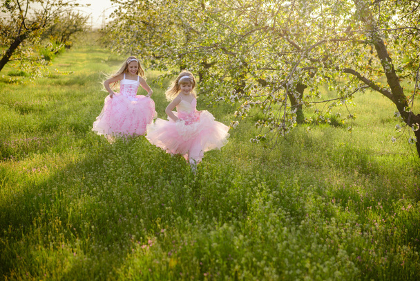 ピンクのドレスで 2 つの小さなかわいい女の子姉妹 - 写真・画像