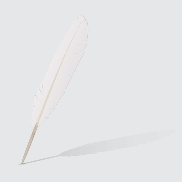 White feather icon - Vector, Image