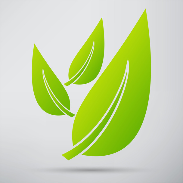 leaves, green, eco icon - Vector, imagen