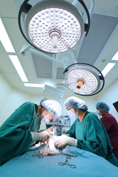 group of veterinarian surgery in operation room - Foto, Imagen