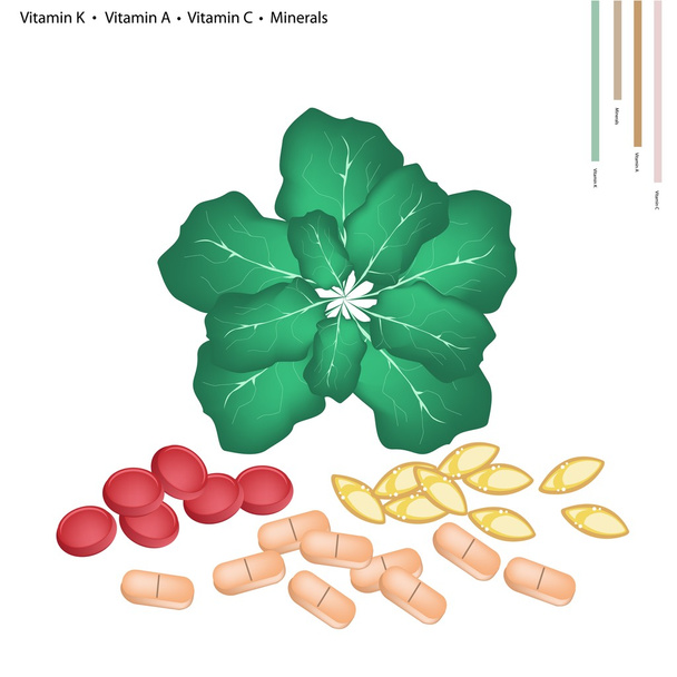 Zöld Collard, a K-Vitamin, A és C - Vektor, kép