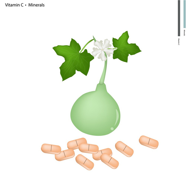 ビタミン C とミネラルのひょうたん - ベクター画像