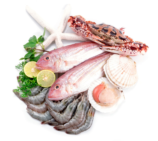 Fresh seafood - Photo, Image