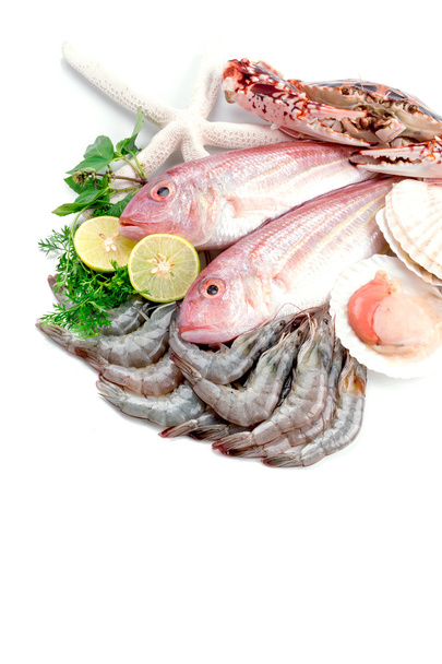Fresh seafood - Photo, Image