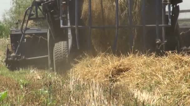 ハーベスタ カット小麦を組み合わせる - 映像、動画