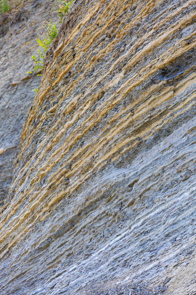 couches de texture de la terre - Photo, image