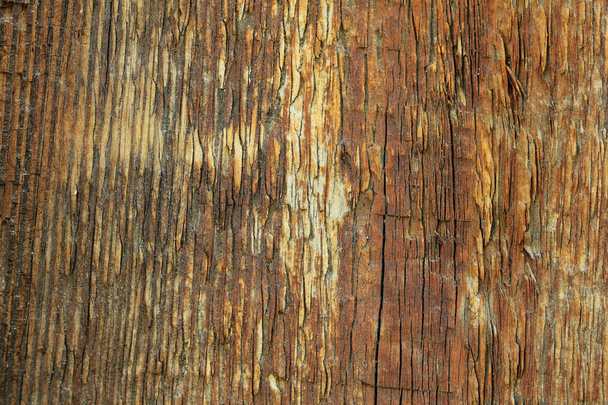 old wooden planks, old wood background - Φωτογραφία, εικόνα