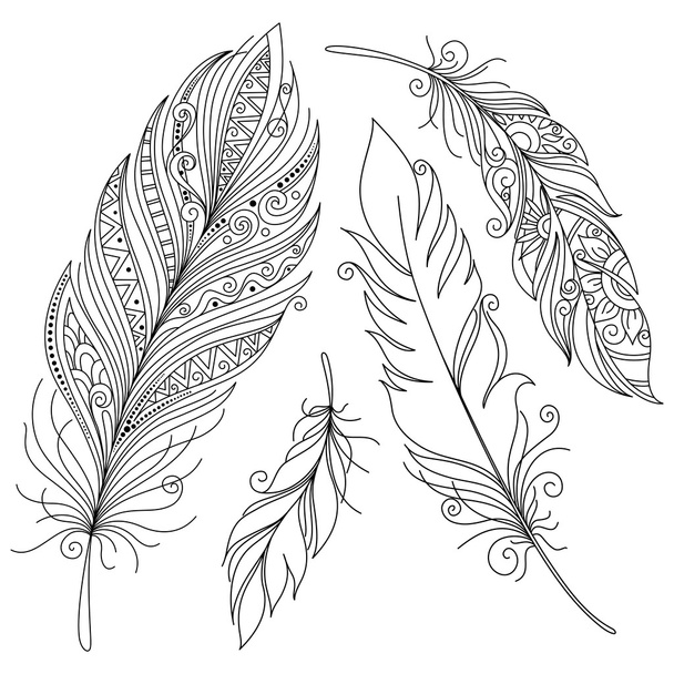 Monochrome Ornate Decorative Feather - Vektor, obrázek
