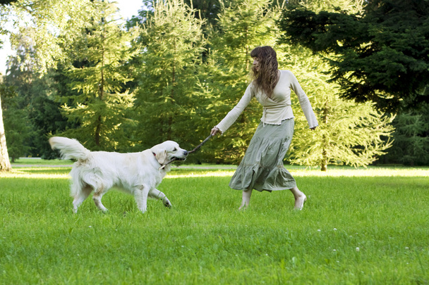 Girl with the golden retriever in the park - Foto, imagen