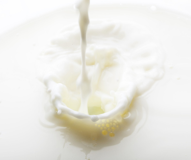 Splash of milk - Фото, изображение