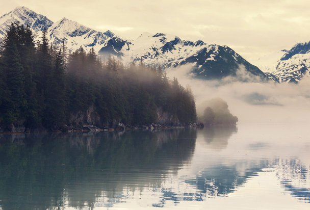 Pradera de montaña en Alaska
 - Foto, imagen