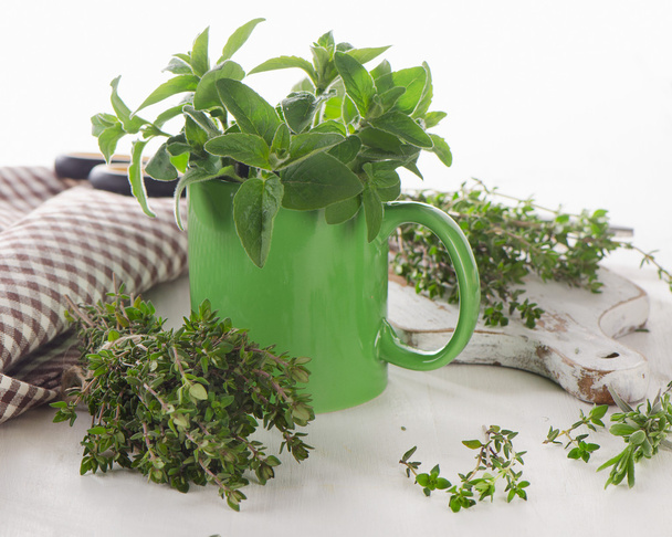 Herbes fraîches avec tasse verte
 - Photo, image