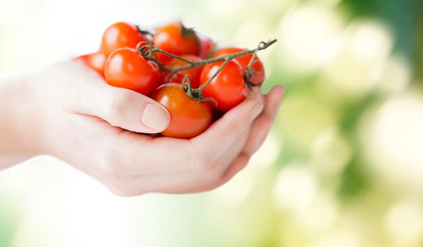 close up of woman hands holding cherry tomatoes - 写真・画像