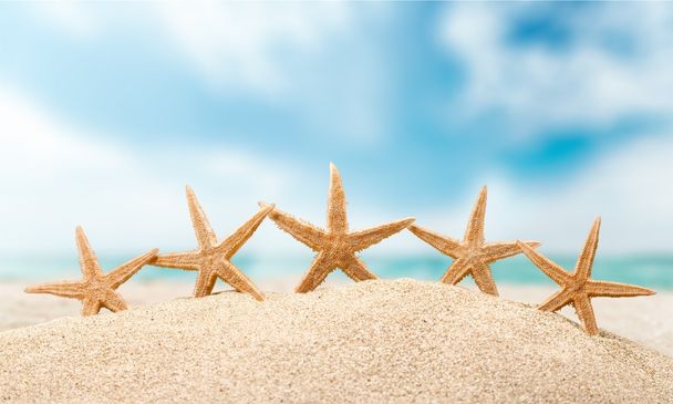 Starfish, ocean, beach. - Foto, imagen