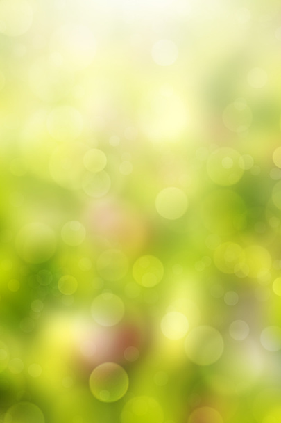 abstract blurred spring background - Photo, Image