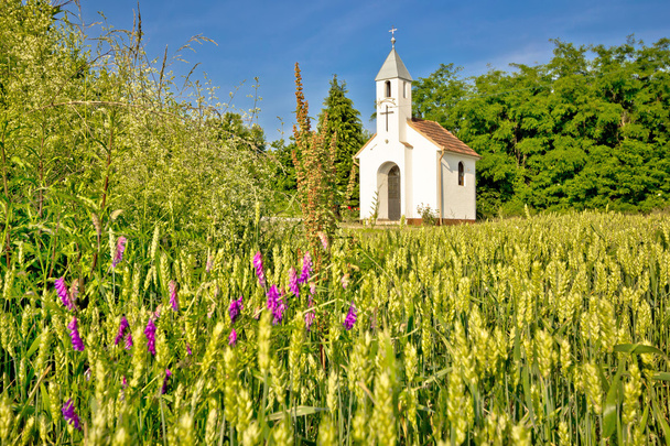 Capilla católica en el paisaje agrícola rural
 - Foto, Imagen