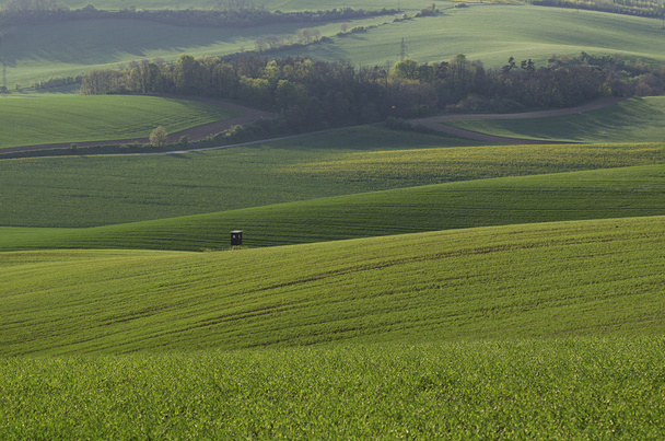 Rural landscape - Fotografie, Obrázek