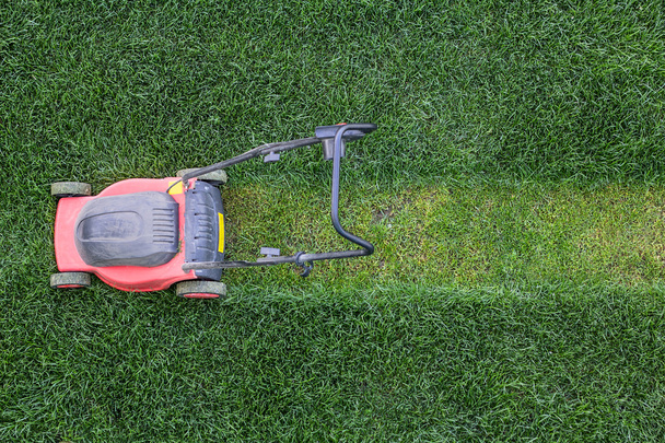 Grass cutter at the lawn - Photo, Image