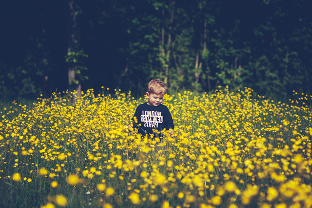 little cute boy child in a wonderful field of yellow flowers smiling and laughing - Photo, Image
