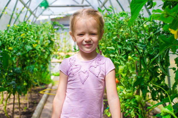 少女作物きゅうりと温室でトマトを収集 - 写真・画像