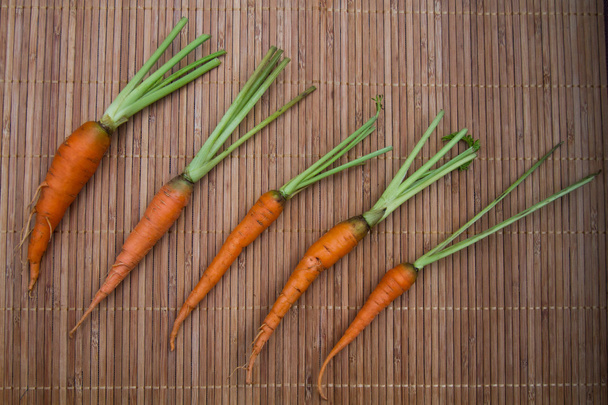Baby Carrot - Photo, Image