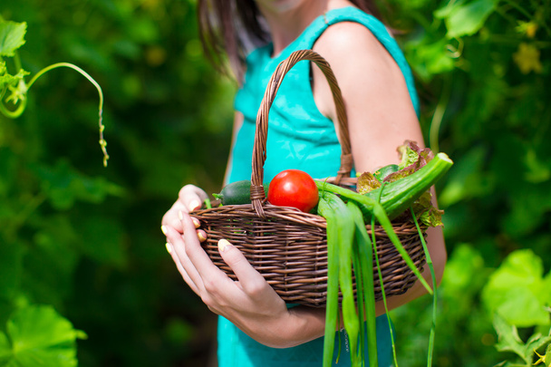 Close-up basket of greens in womans hands - 写真・画像