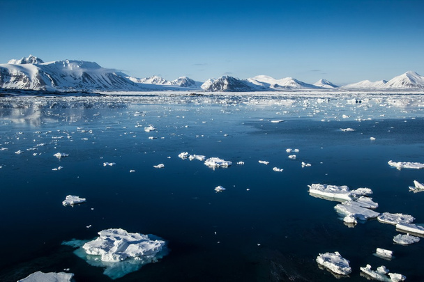 Arktyczny wiosna w południowej Spitsbergen - Zdjęcie, obraz