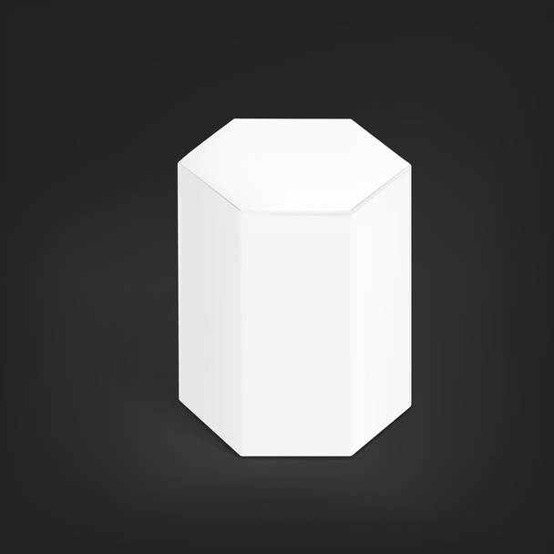 hexagon modern packaging box - Vektör, Görsel