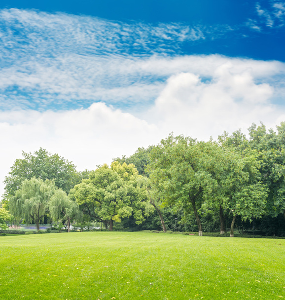 Grüner Park mit blauem Himmel - Foto, Bild