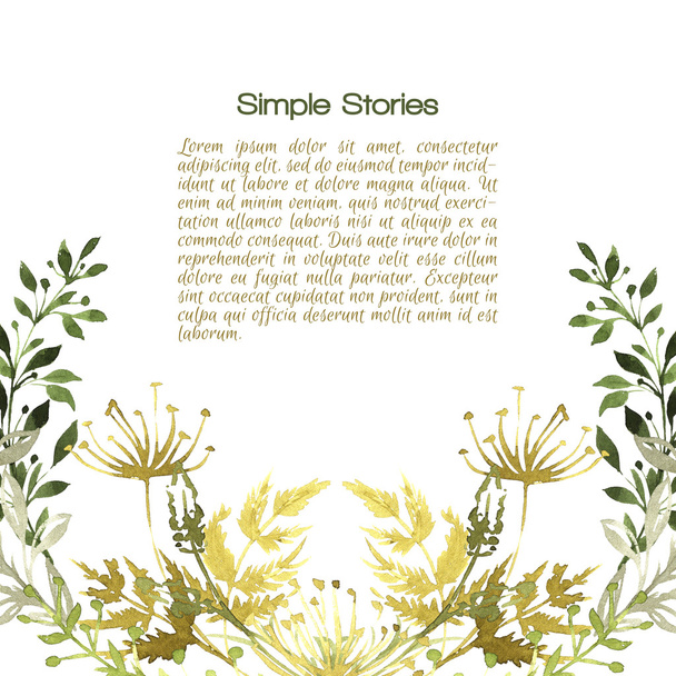 Watercolor herbs and flowers, background. - Фото, зображення