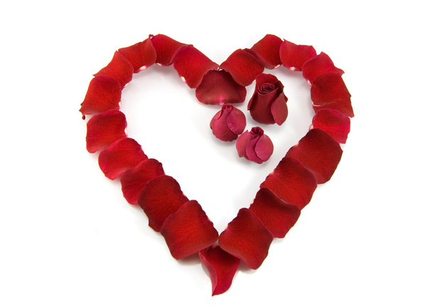 Rose petals in a shape of a heart - Foto, Imagem
