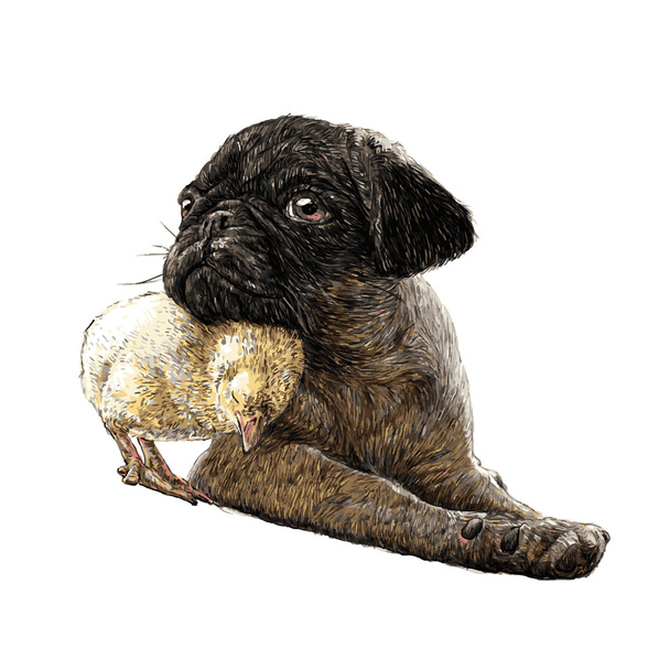Pug dog ang a chick  - Vector, Image