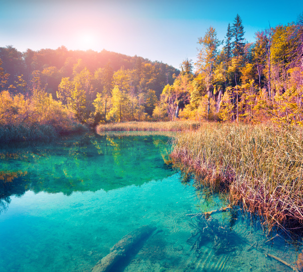Parc national des Lacs de Plitvice. - Photo, image