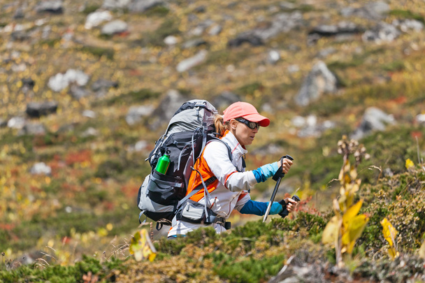 Woman trekking in mountains - Photo, Image