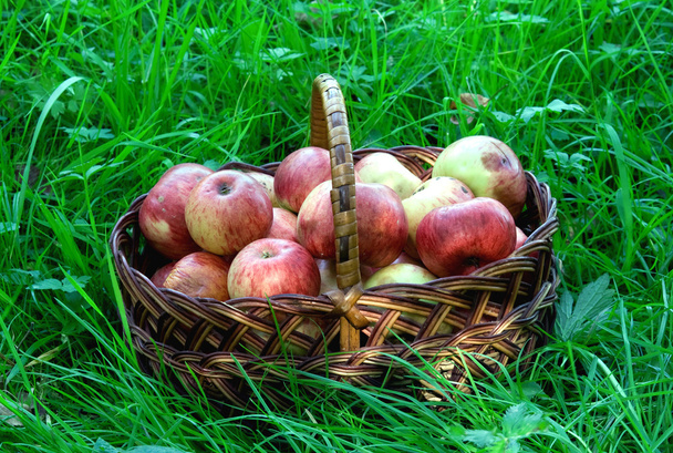 mand met appelen - Foto, afbeelding