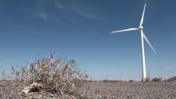 windmolen in een droge woestijn - Video