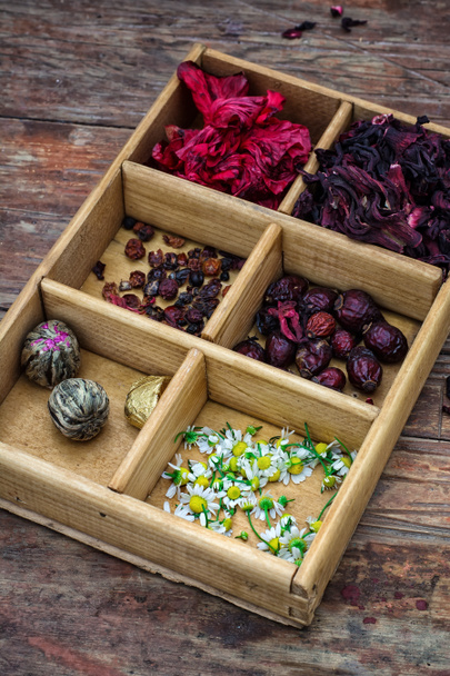 medicinal herbs - Photo, Image