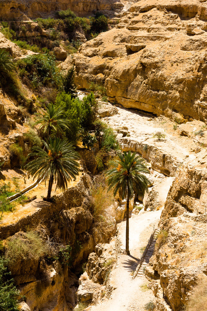 Creek na pustyni Wadi Qelt, w Judean Desert - Zdjęcie, obraz